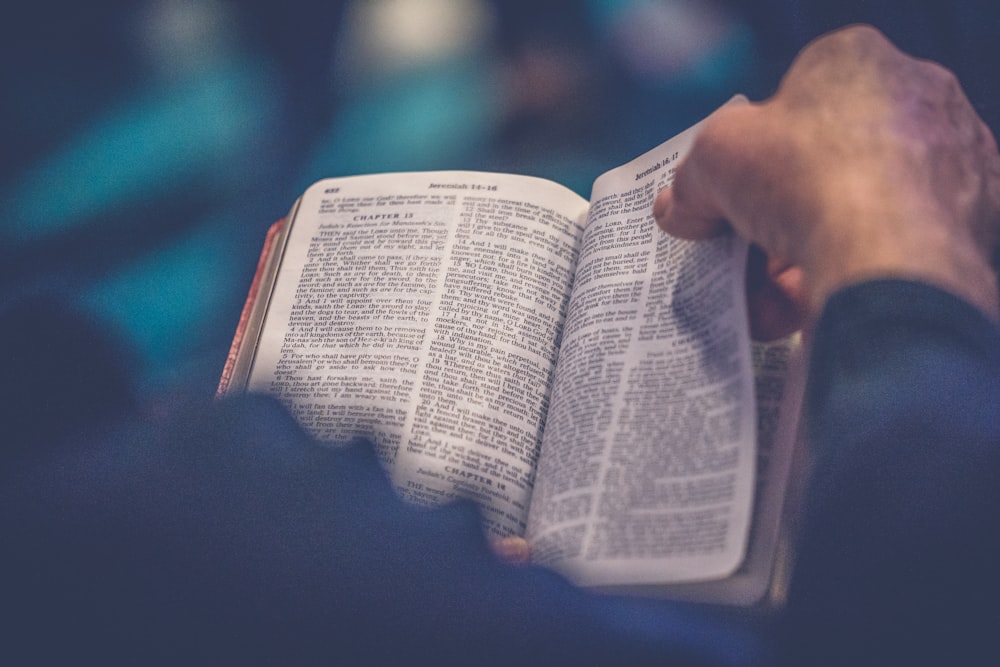 Open Bible resting in warm morning light